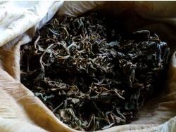 茶製品-茶 產品圖片（圖片編號 715209）