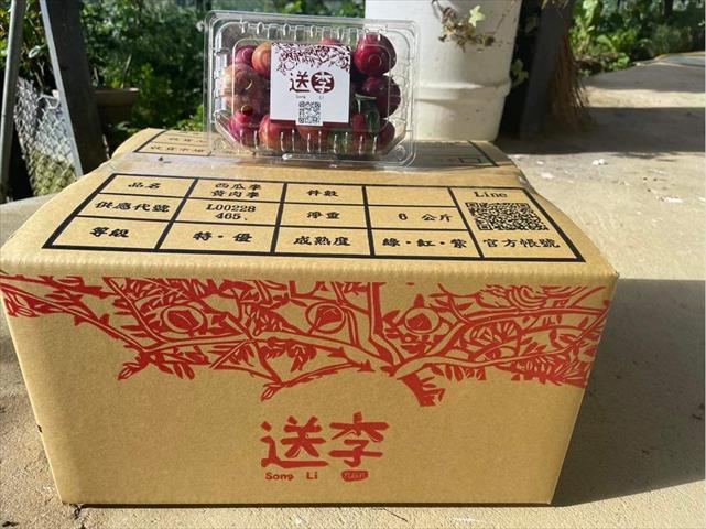 李 產品圖片（圖片編號 716154）