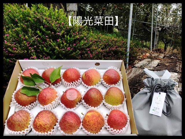 蘋果 產品圖片（圖片編號 716161）