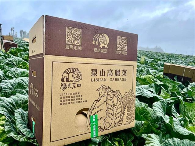 甘藍(高麗菜) 產品圖片（產品編號 527170）