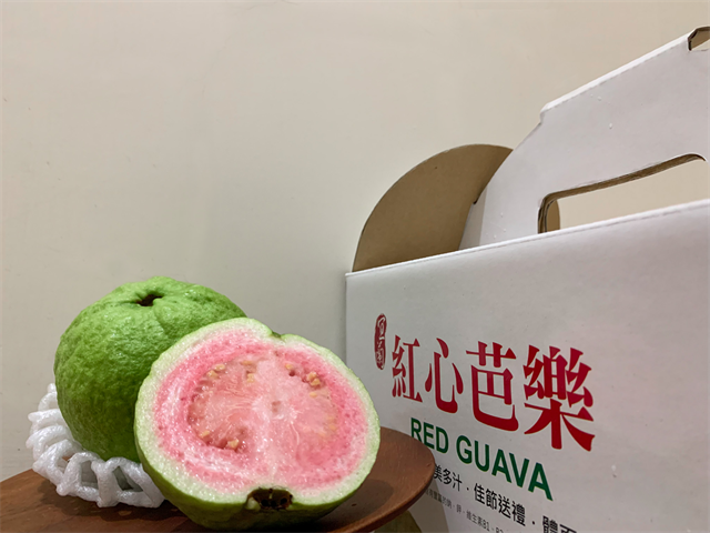 番石榴(芭樂) 產品圖片（圖片編號 716258）