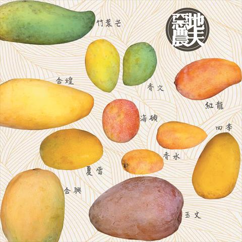 芒果 產品圖片（產品編號 505278）
