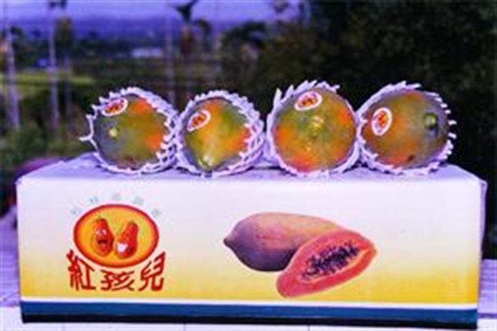 木瓜 產品圖片（圖片編號 718563）