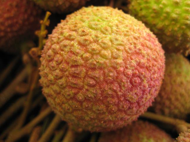 荔枝 產品圖片（圖片編號 718578）