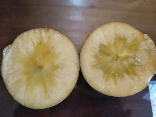 蘋果 產品圖片（圖片編號 719406）
