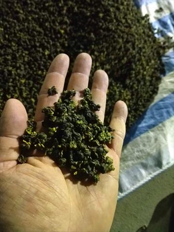 茶製品-茶 產品圖片（產品編號 528908）