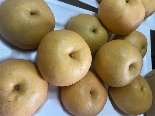 梨 產品圖片（圖片編號 721347）
