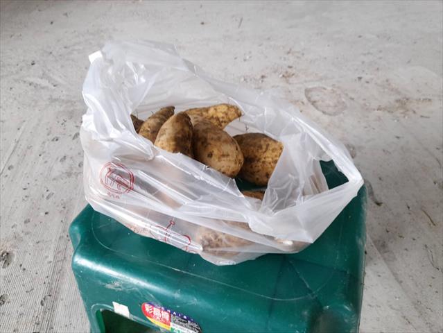 甘藷(地瓜) 產品圖片（產品編號 529114）