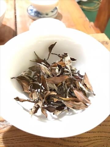茶製品-茶 產品圖片（產品編號 529972）