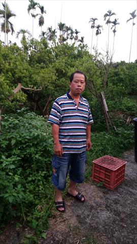 椪柑 產品圖片（圖片編號 726620）