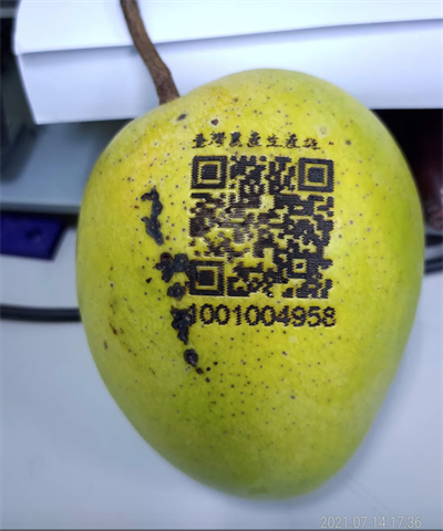 芒果 產品圖片（圖片編號 726676）