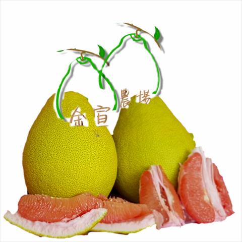 產品圖片
