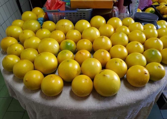 黃金果(黃晶果,加蜜蛋黃果,蜜蛋黃果) 產品圖片（產品編號 534963）