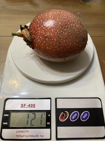 百香果 產品圖片（圖片編號 731090）