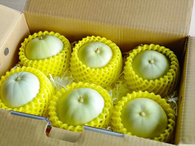 香瓜(美濃瓜) 產品圖片（產品編號 535356）