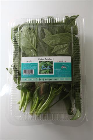 羅勒(九層塔) 產品圖片（產品編號 535853）