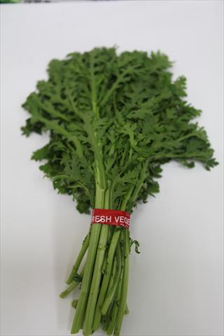 山茼蒿(昭和菜) 產品圖片（圖片編號 732262）