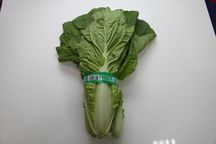 不結球白菜(小白菜,青梗白菜,蚵白菜) 產品圖片（產品編號 535854）