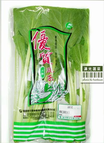 油菜(小松菜.青松菜) 產品圖片（產品編號 535855）