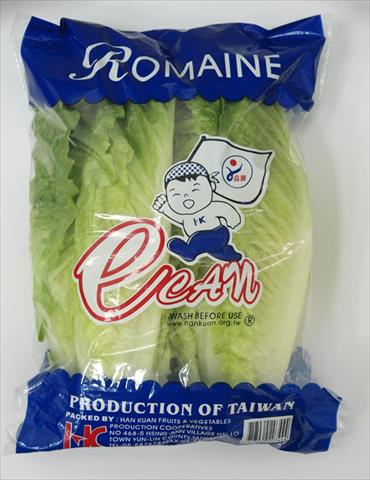 半結球萵苣(大陸妹) 產品圖片（圖片編號 732278）