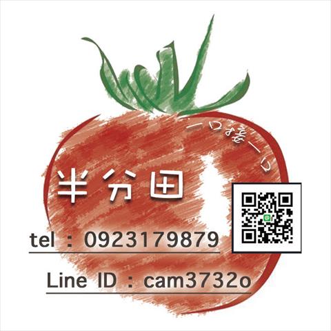 番茄(含小番茄) 產品圖片（圖片編號 732702）