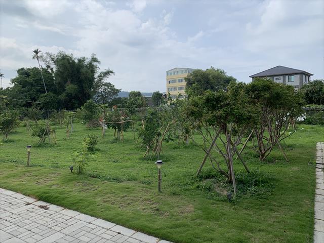 柳橙 產品圖片（產品編號 536322）