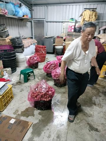 荔枝 產品圖片（產品編號 537659）