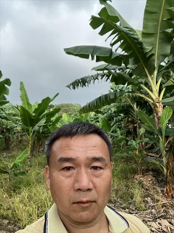 番石榴(芭樂) 產品圖片（產品編號 538303）