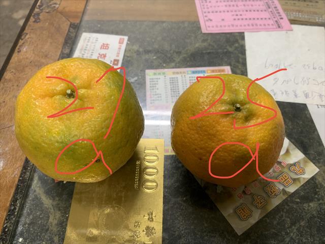 椪柑 產品圖片（圖片編號 736869）