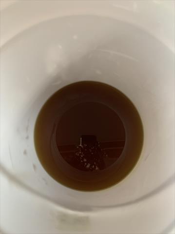 蜂產品-蜂蜜 產品圖片（產品編號 540733）