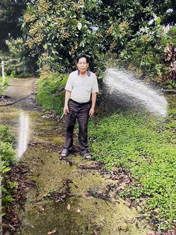 龍眼 產品圖片（產品編號 542425）
