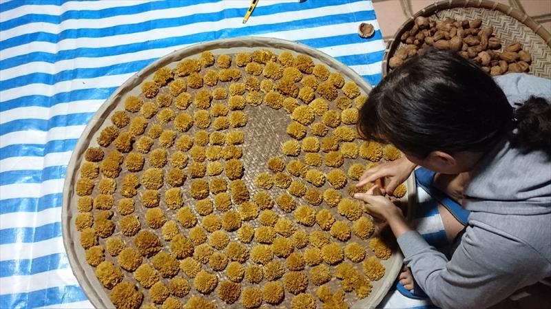 愛玉子 產品圖片（產品編號 542534）