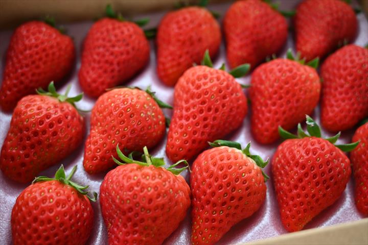 草莓 產品圖片（產品編號 544383）