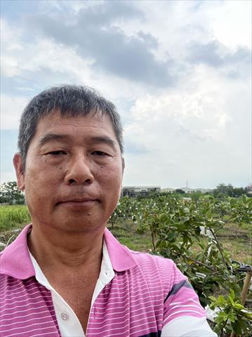 番石榴(芭樂) 產品圖片（產品編號 545352）