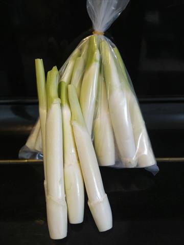 茭白筍 產品圖片（圖片編號 747838）