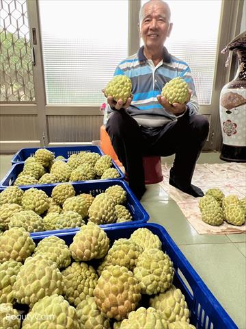 番荔枝(釋迦) 產品圖片（圖片編號 750710）