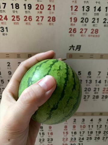 西瓜 產品圖片（圖片編號 752083）