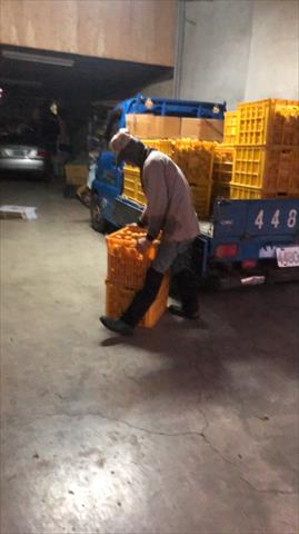 砂糖橘 產品圖片（圖片編號 752939）