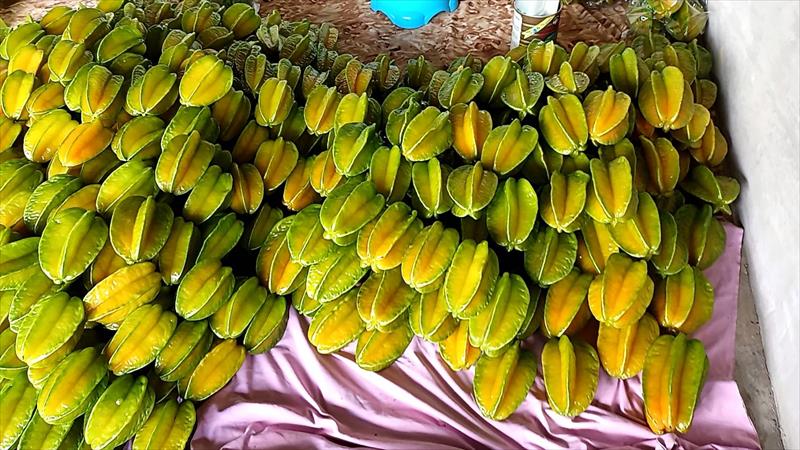 楊桃 產品圖片（產品編號 551856）