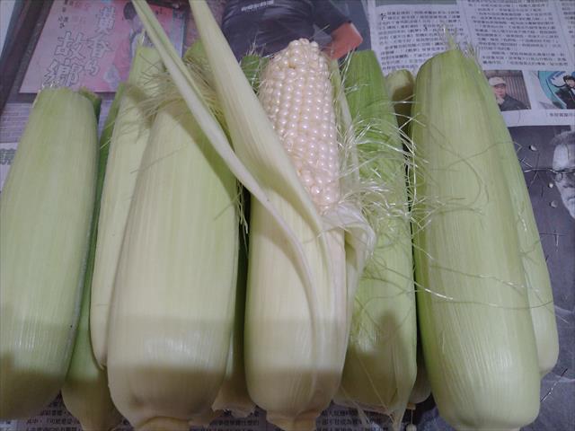 食用玉米(含玉米筍) 產品圖片（圖片編號 755728）