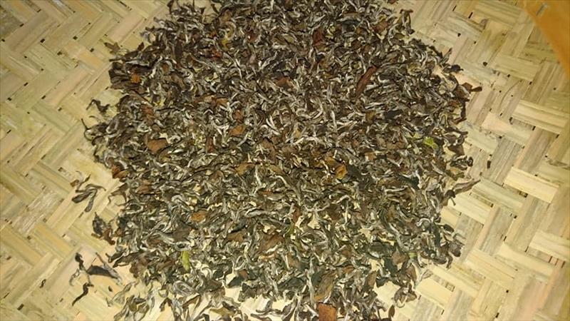 茶製品-茶 產品圖片（圖片編號 755740）