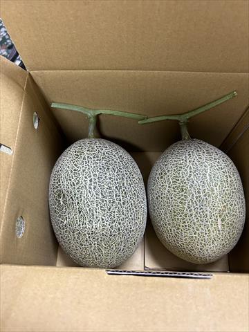 甜瓜 產品圖片（圖片編號 758467）