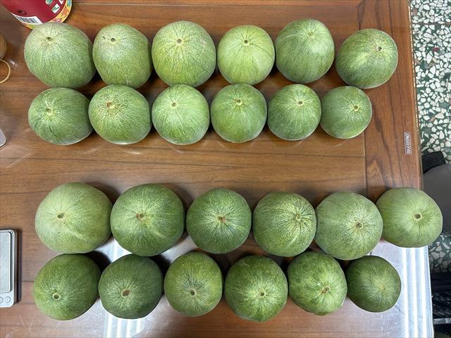 香瓜(美濃瓜) 產品圖片（圖片編號 758472）