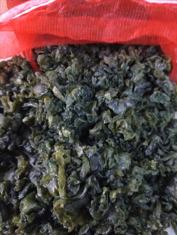 陸生藍綠藻(雨來菇) 產品圖片（圖片編號 772956）
