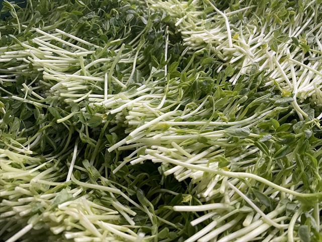 豌豆嬰 產品圖片（圖片編號 772957）