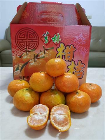 砂糖橘 產品圖片（產品編號 439165）