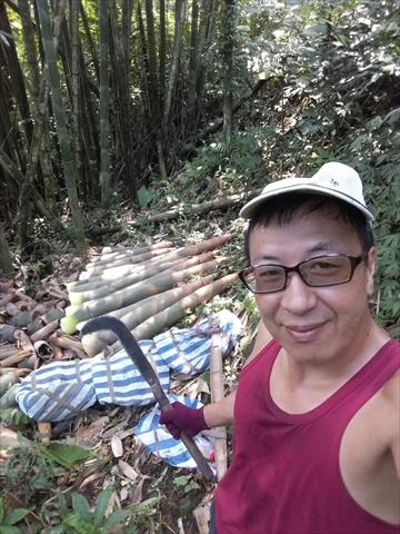 竹筍 產品圖片（圖片編號 787056）