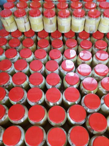 竹筍 產品圖片（圖片編號 787057）