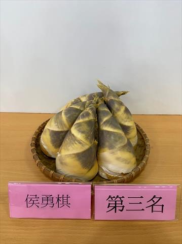 竹筍 產品圖片（產品編號 581755）