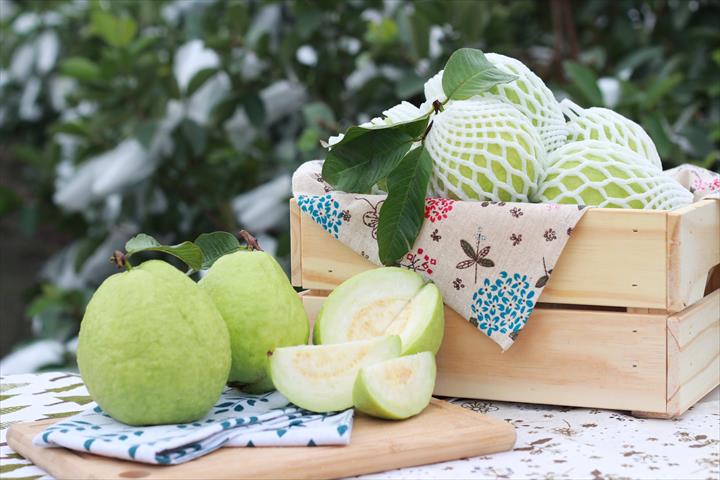 番石榴(芭樂) 產品圖片（產品編號 591463）